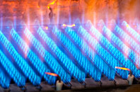 Troqueer gas fired boilers